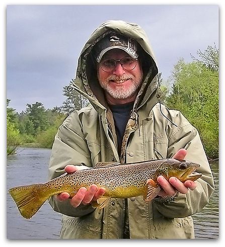 20-inch brown trout
