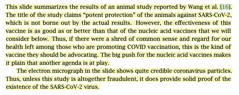 Evidence demonstrates that a protein vaccine should have been developed, not a mRNA (or DNA) vaccine.