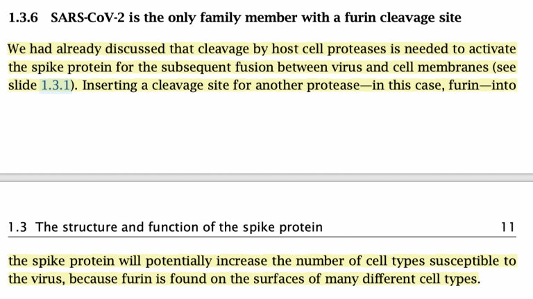 Who added "furin" to the spike protein?